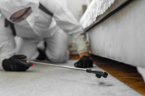 Professional Termite Control technician working in Toole County County, MT